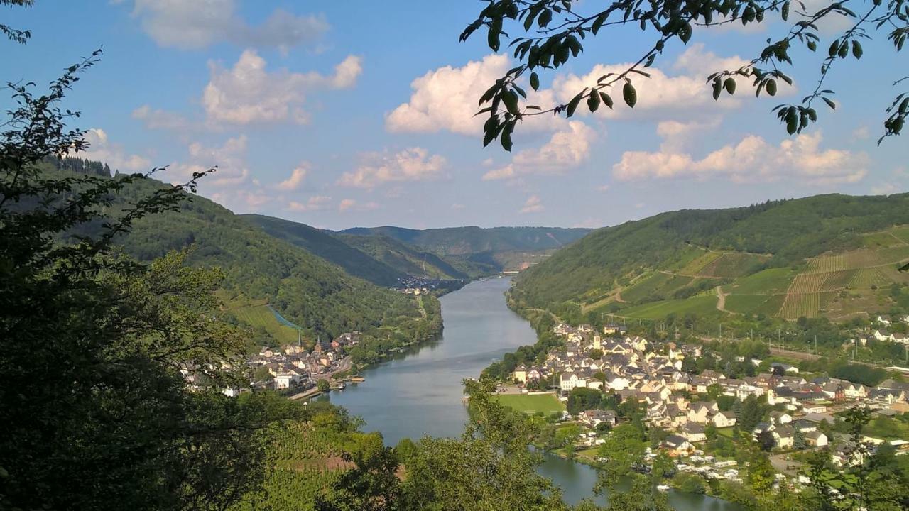 Mosel Ausblick Leilighet Zell an der Mosel Eksteriør bilde